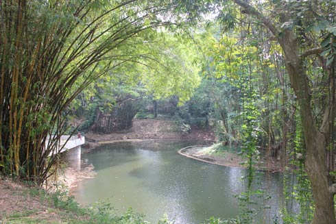 At the Zoo At the Zoo